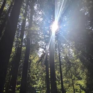 Meet your Posher, Karyn